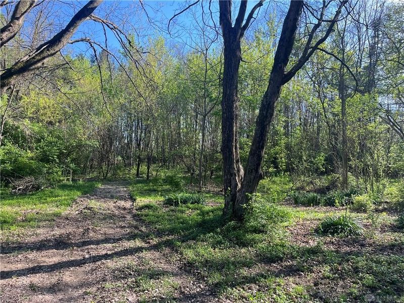 4004 Sintz Road, Springfield, OH 45504 Photo 27