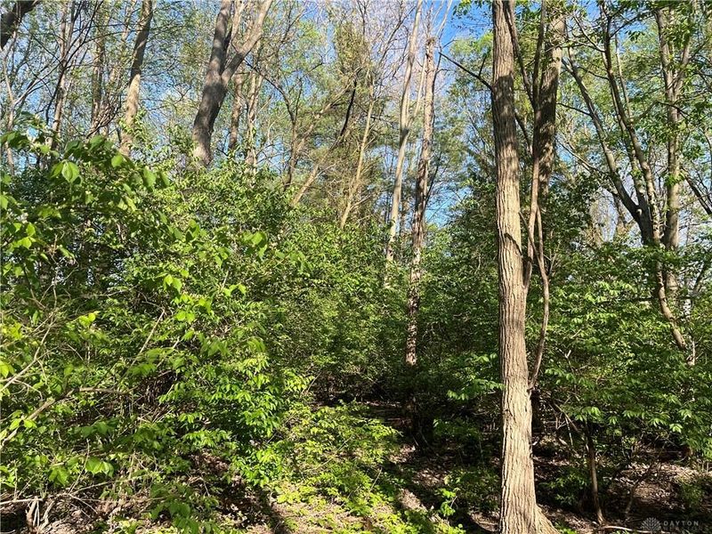 4004 Sintz Road, Springfield, OH 45504 Photo 7