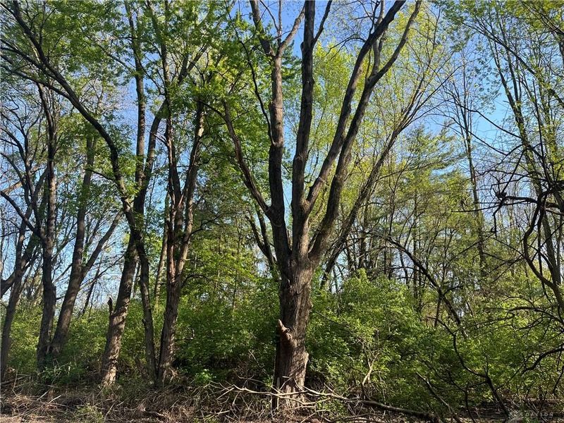 4004 Sintz Road, Springfield, OH 45504 Photo 9