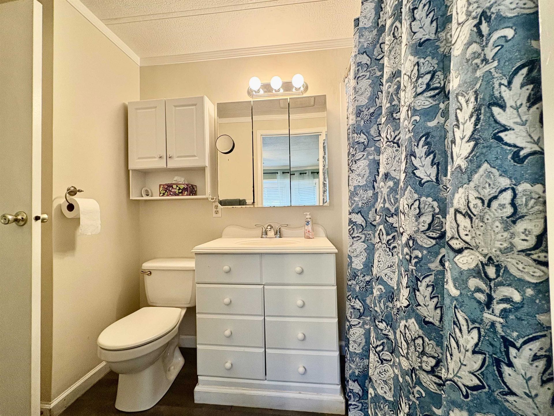 742 Richmond Trail  Photo 12