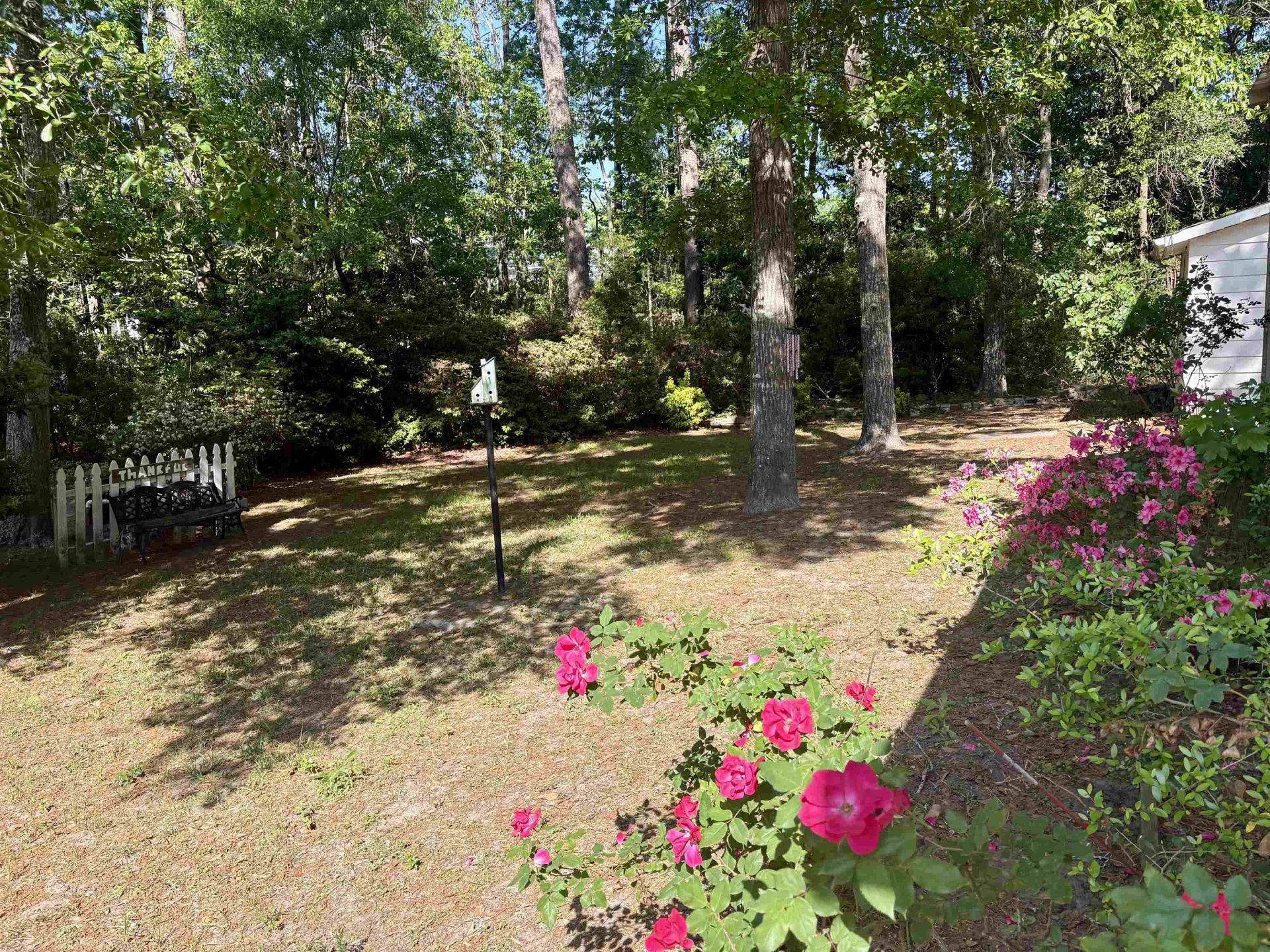 742 Richmond Trail  Photo 17