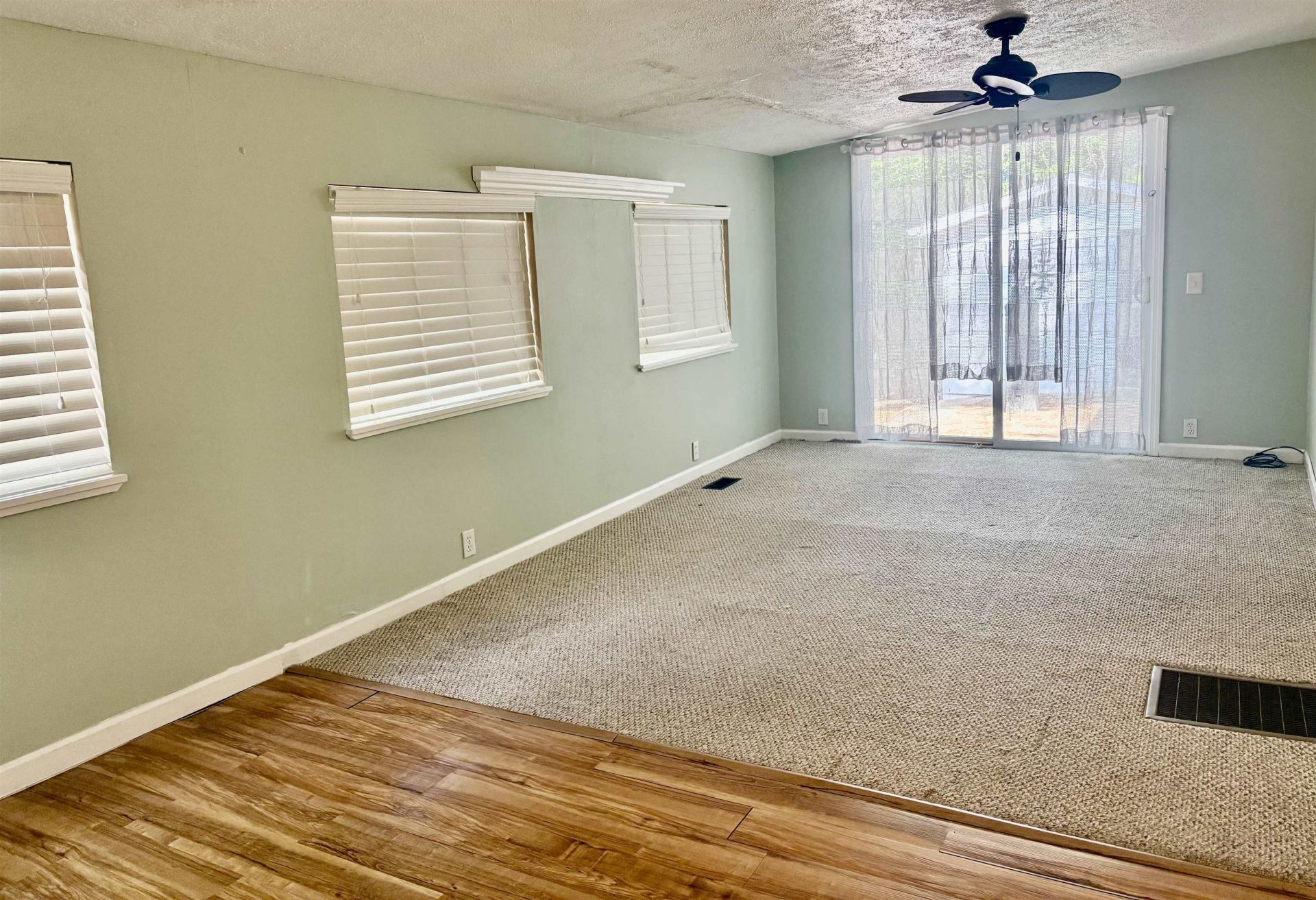 742 Richmond Trail  Photo 4