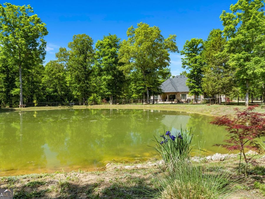 Property Image 61