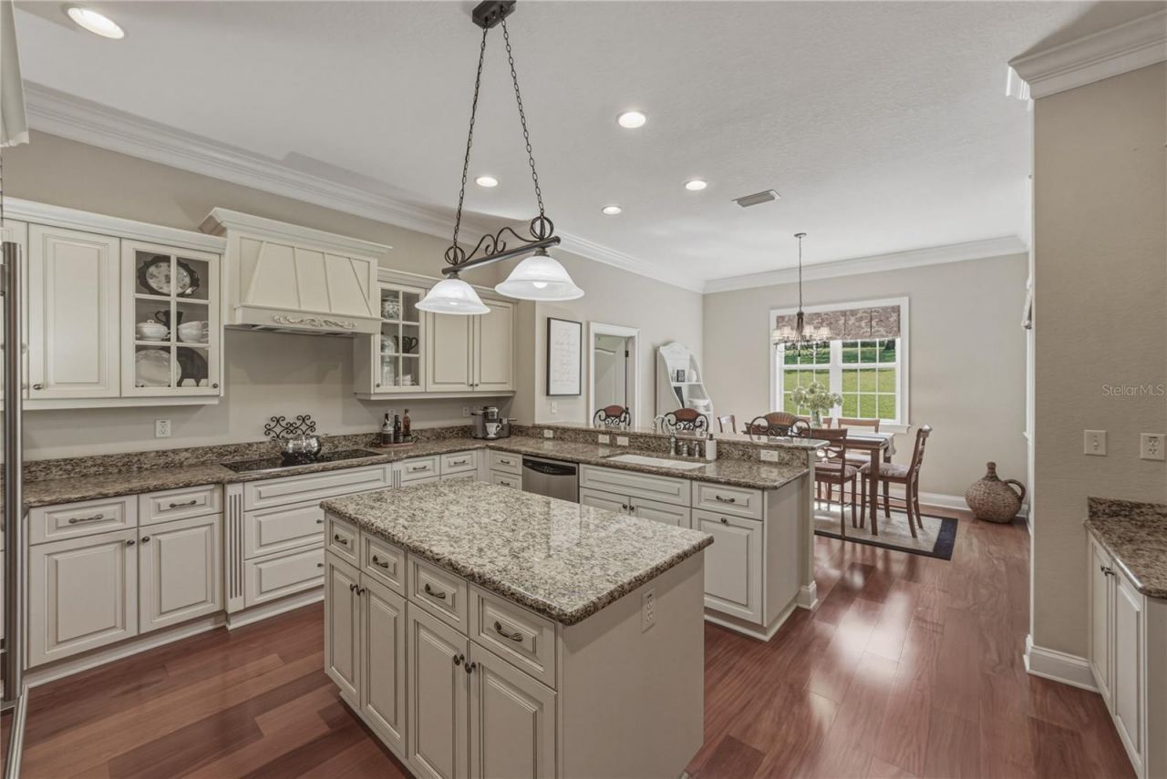 810 Savannah Oaks Drive, Brooksville, FL 34602 Photo