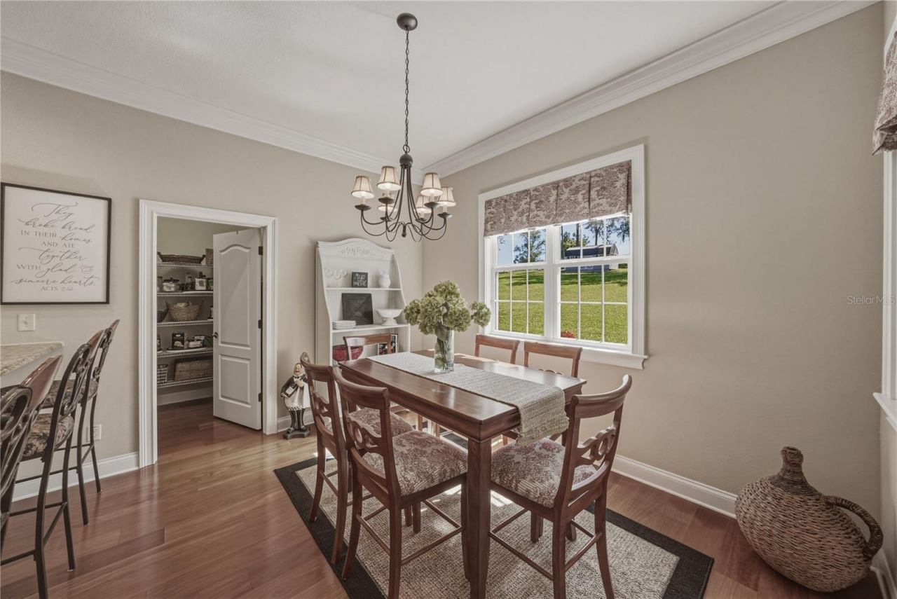 810 Savannah Oaks Drive , Brooksville, FL 34602 Photo