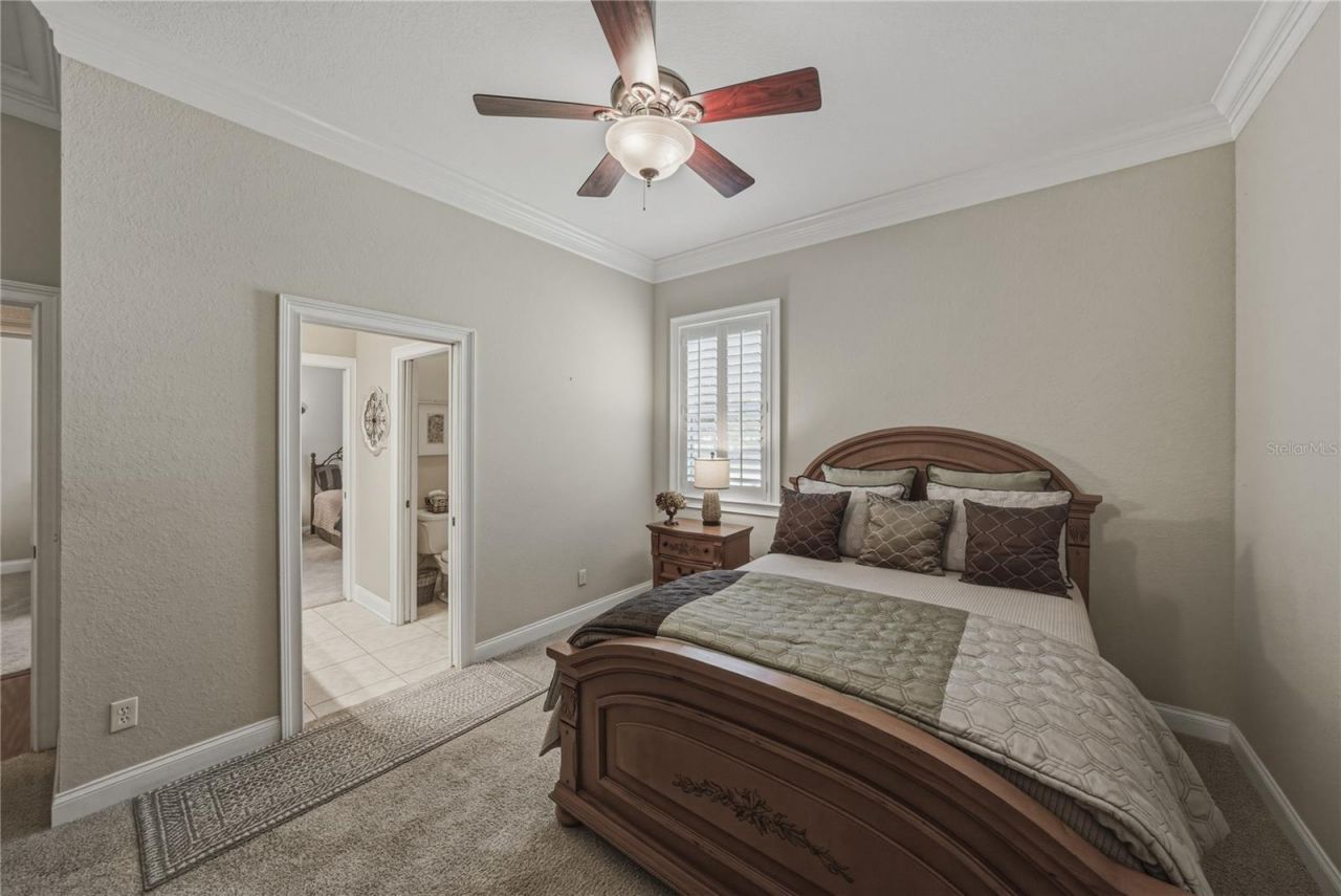 810 Savannah Oaks Drive, Brooksville, FL 34602 Photo