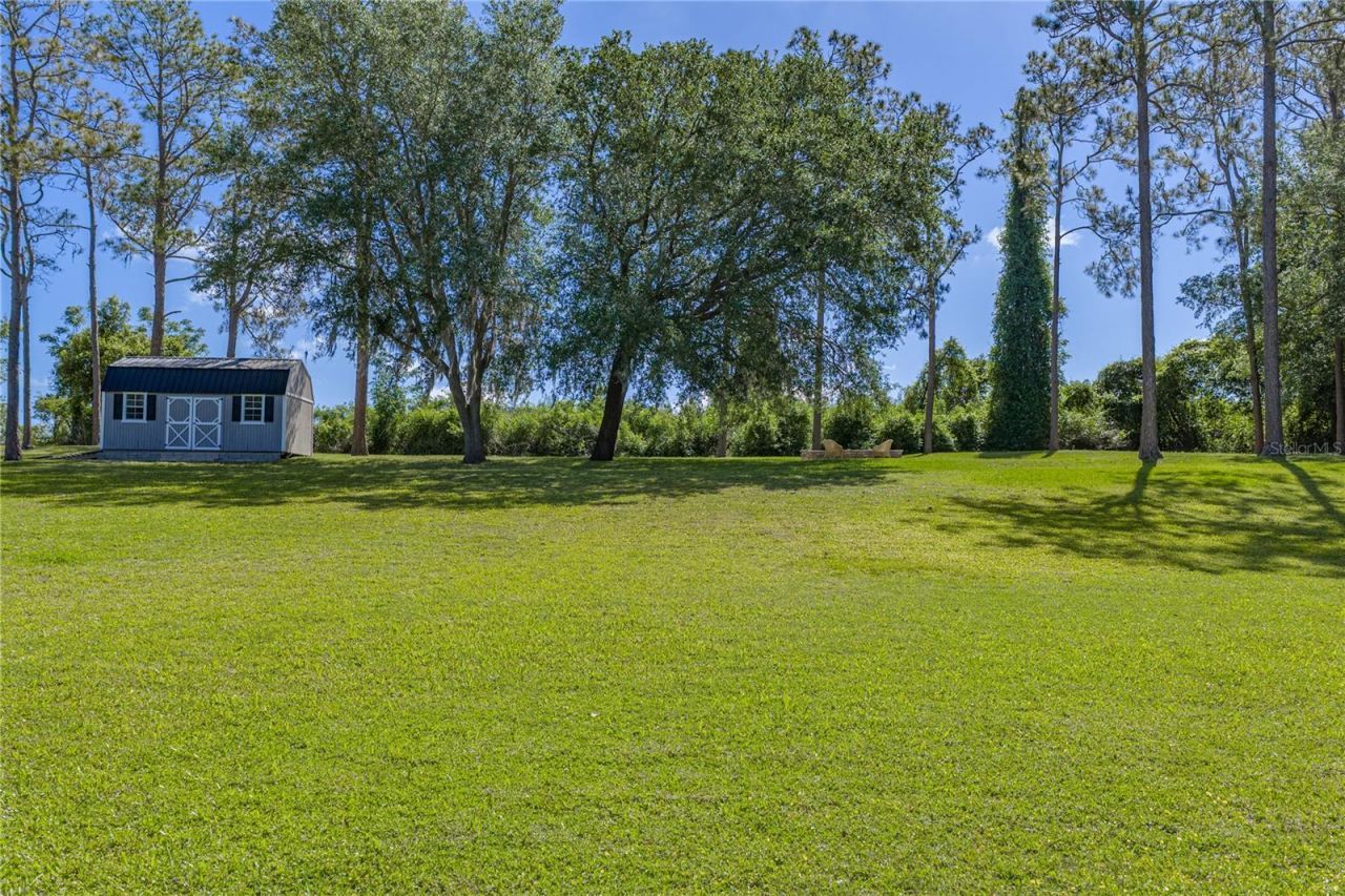 810 Savannah Oaks Drive, Brooksville, FL 34602 Photo