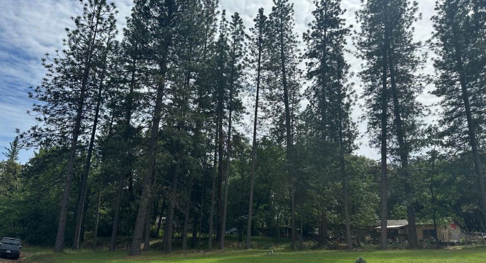 27 Ridge Rd, Mokelumne Hill, CA 95245 Photo