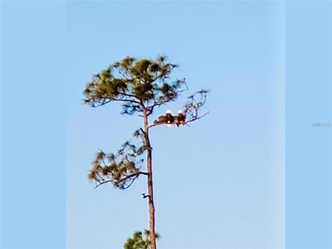 14049 Black Beauty Drive , Unit 711, Punta Gorda, FL 33955 Photo