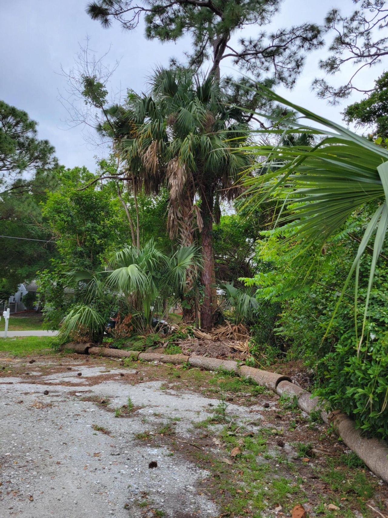 1109 SW Abingdon Avenue S, Port Saint Lucie, FL 34953 Photo