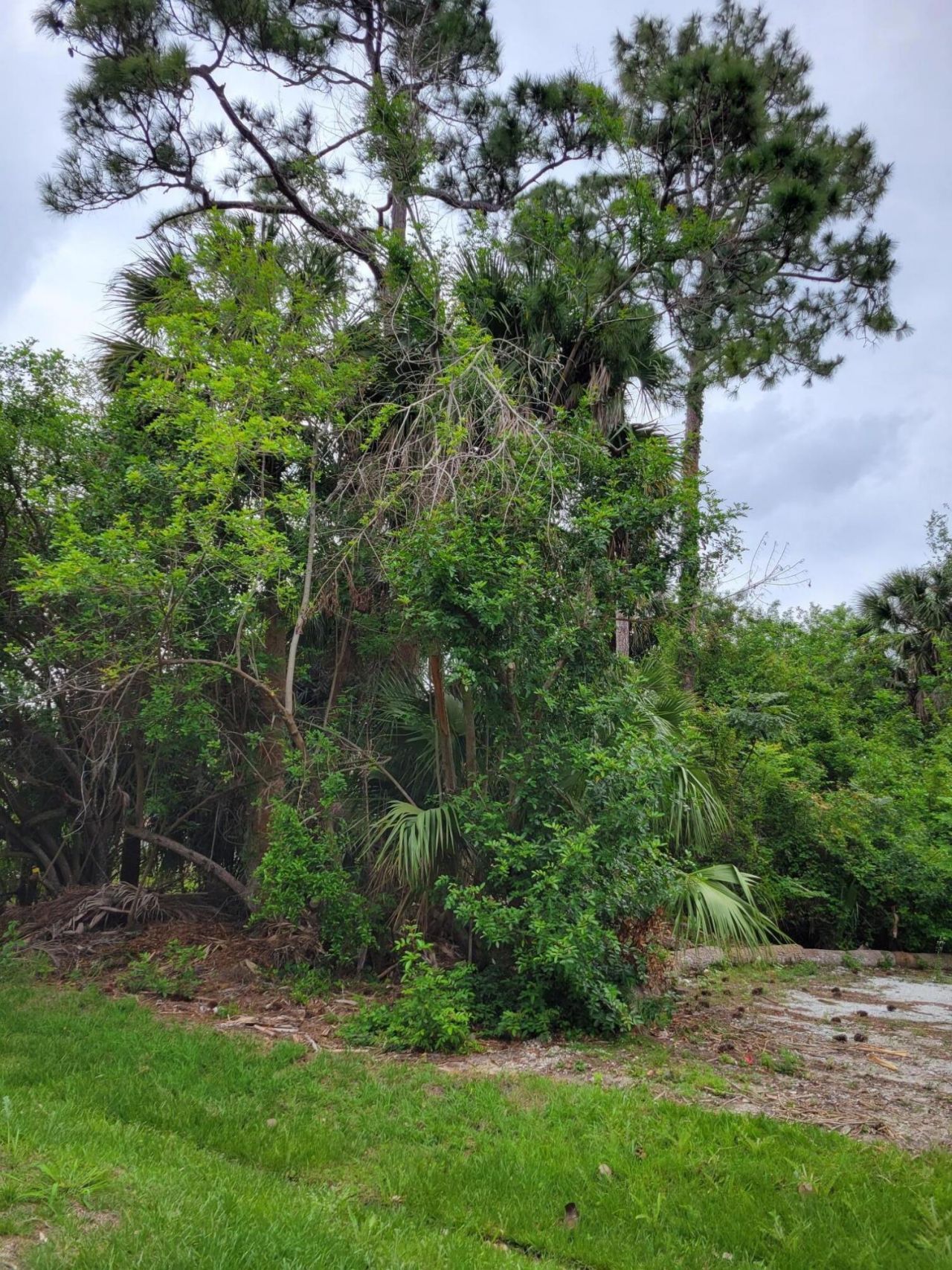 1109 SW Abingdon Avenue S, Port Saint Lucie, FL 34953 Photo
