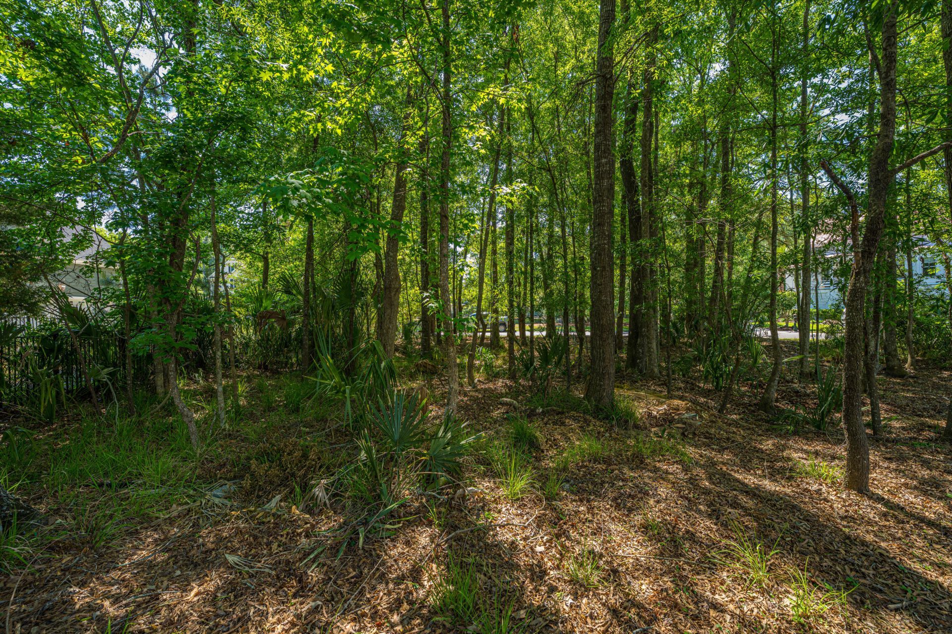 1732 W Canning Drive Photo 60