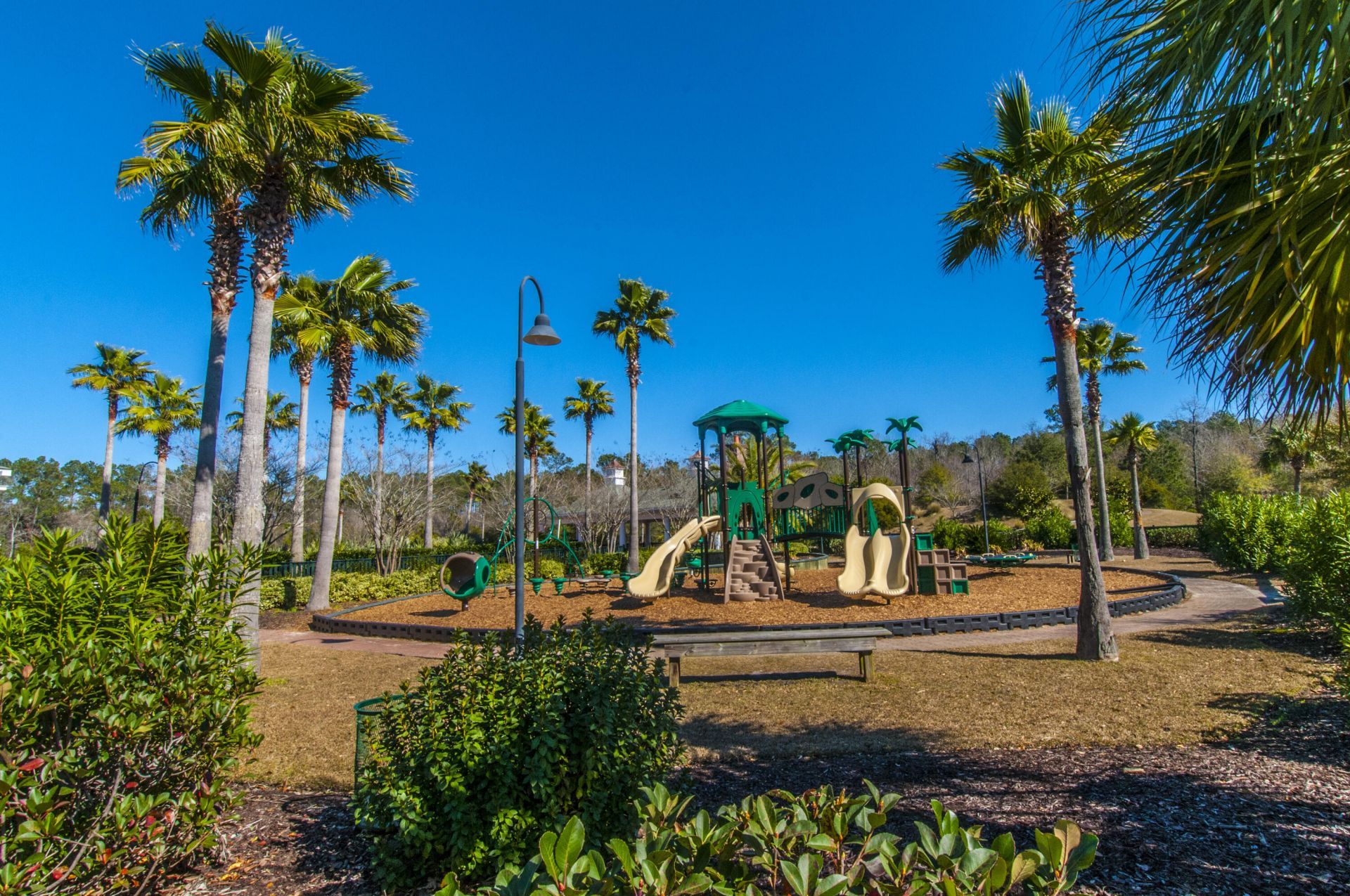 1732 W Canning Drive Photo 80