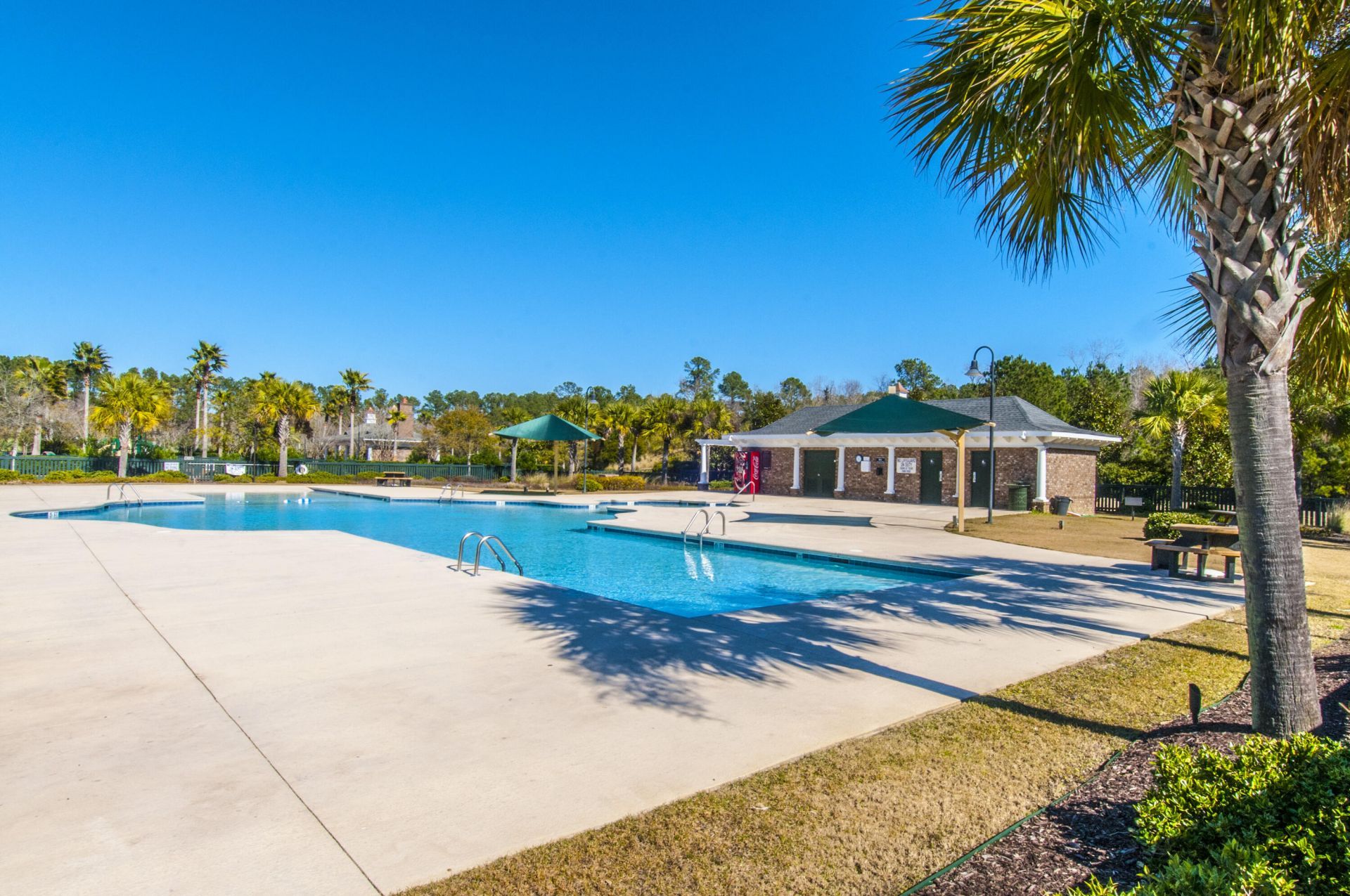 1732 W Canning Drive Photo 92