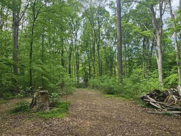 2225 Caney Branch Rd , Stewart, TN 37175