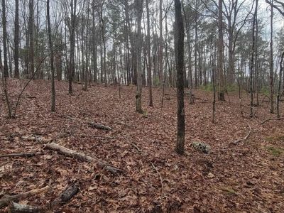 2458 Chapin Road , Unit 6 & 7, Chapin, SC 29036