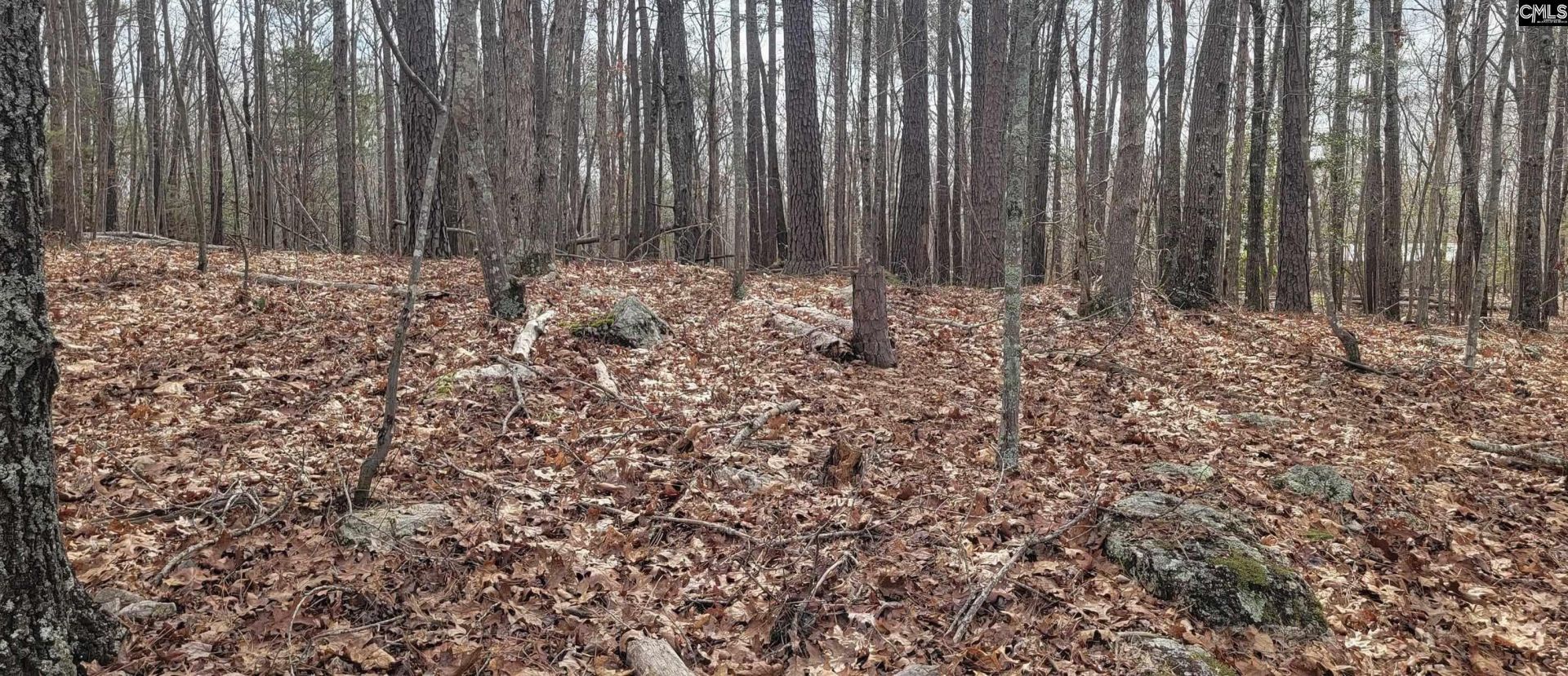 2458 Chapin Road  Photo 4