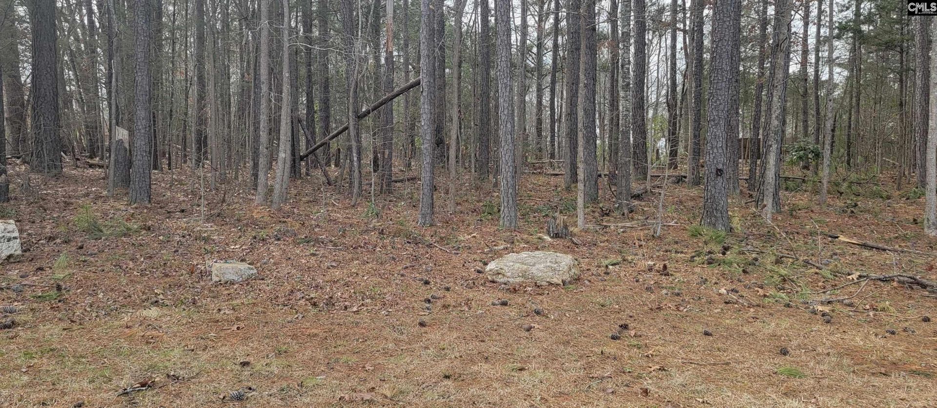 2458 Chapin Road  Photo 5