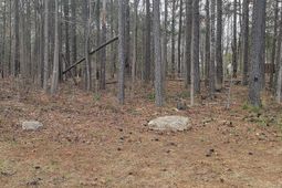 2458 Chapin Road  photo 4