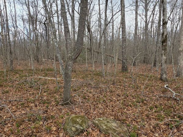 13 Pond Rd, Monterey, TN 38574