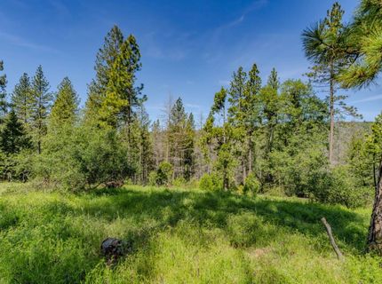 4040 Cedar Creek Rd, Mount Aukum, CA 95629 Photo