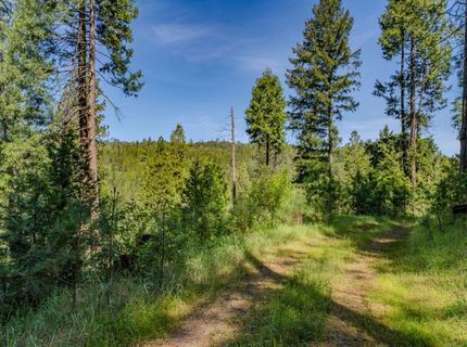 4040 Cedar Creek Rd, Mount Aukum, CA 95629 Photo