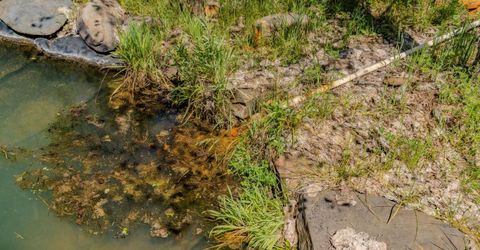 4040 Cedar Creek Rd, Mount Aukum, CA 95629 Photo
