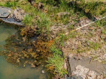 4040 Cedar Creek Rd, Mount Aukum, CA 95629 Photo