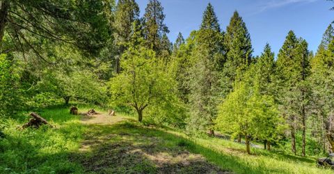 4040 Cedar Creek Rd, Mount Aukum, CA 95629 Photo