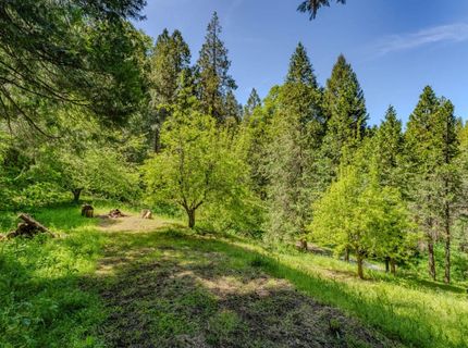 4040 Cedar Creek Rd, Mount Aukum, CA 95629 Photo