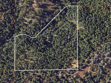 4040 Cedar Creek Rd, Mount Aukum, CA 95629 Photo