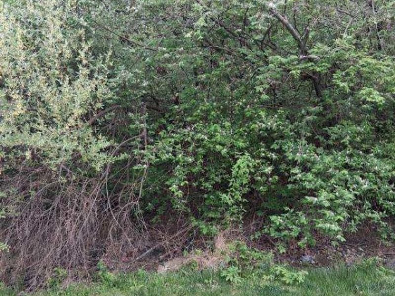 2224 Castle Pines Court, Hamilton, OH 45013 Photo 18