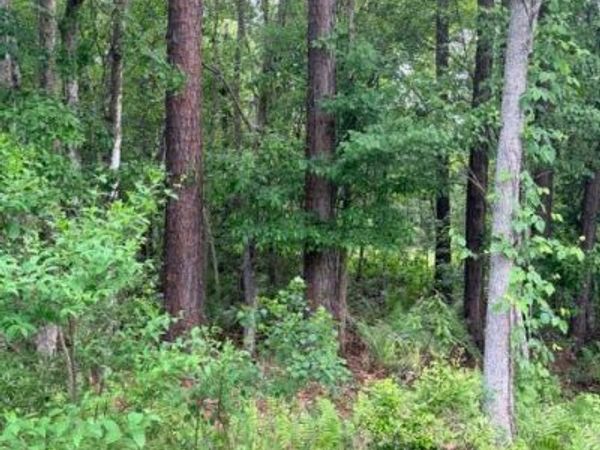 0 OLD KINGS Road, Jacksonville, FL 32219