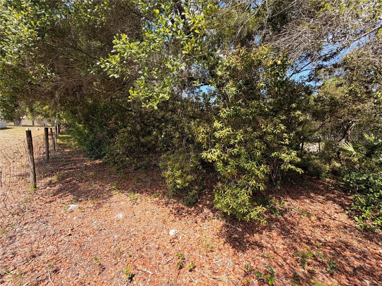 472 Shaw Lake Road , Pierson, FL 32180 Photo