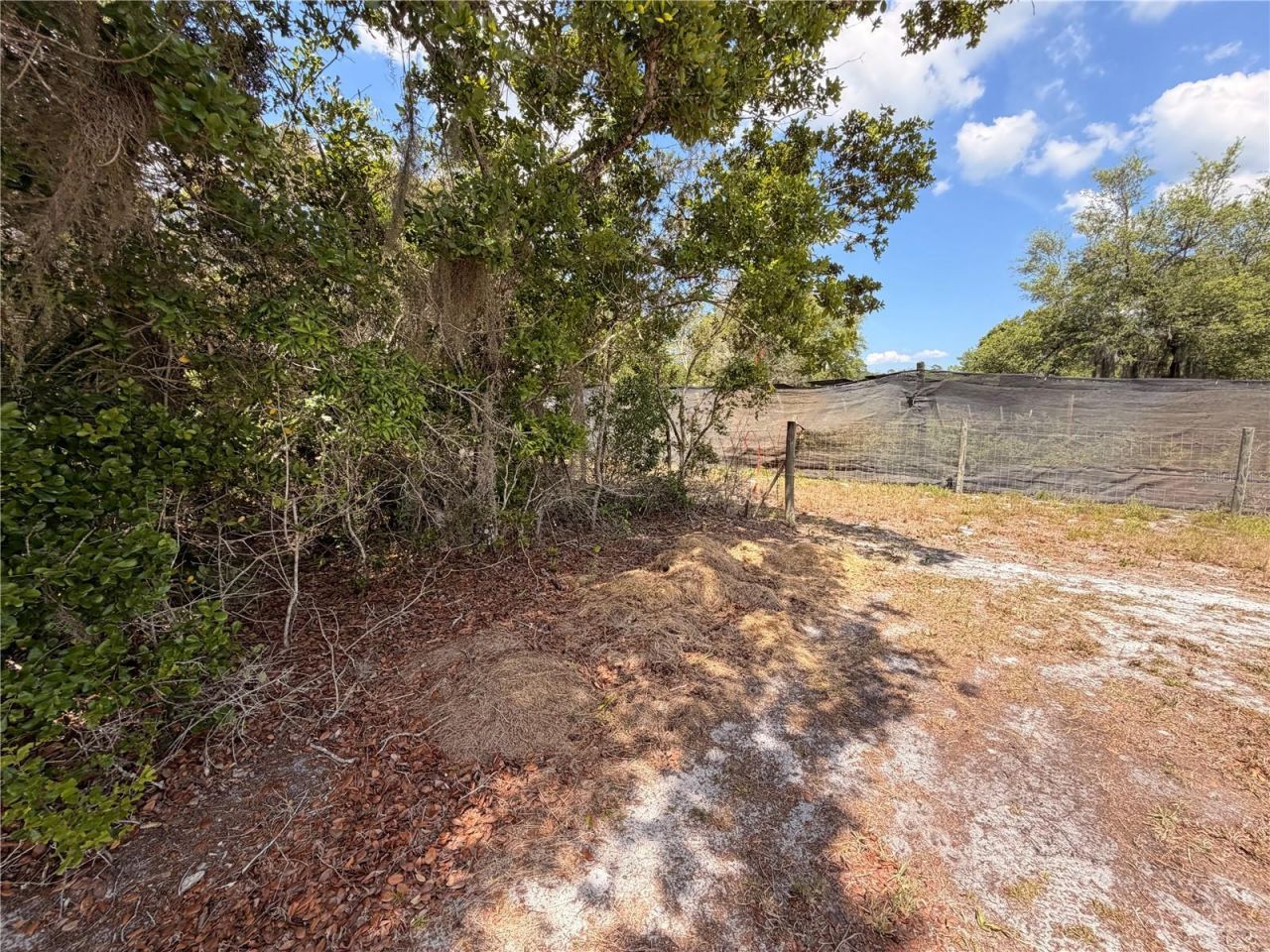 472 Shaw Lake Road , Pierson, FL 32180 Photo