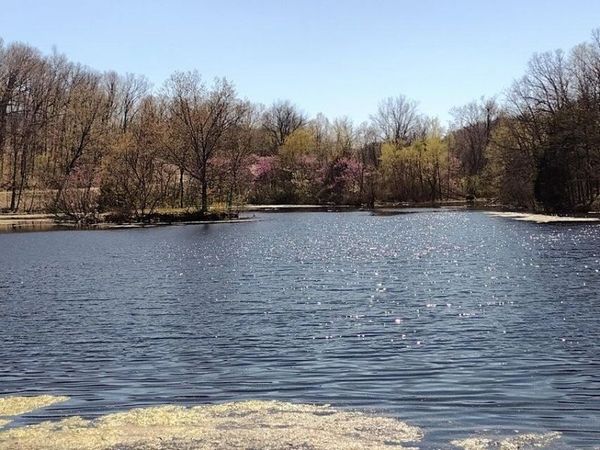 420 Lake Valley Drive , Seymour, MO 65746