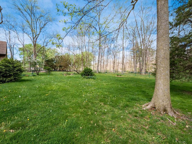 2434 Carriage Road, Powell, OH 43065 Photo 48