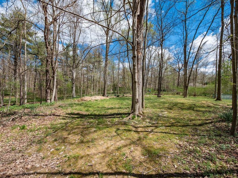 2434 Carriage Road, Powell, OH 43065 Photo 52