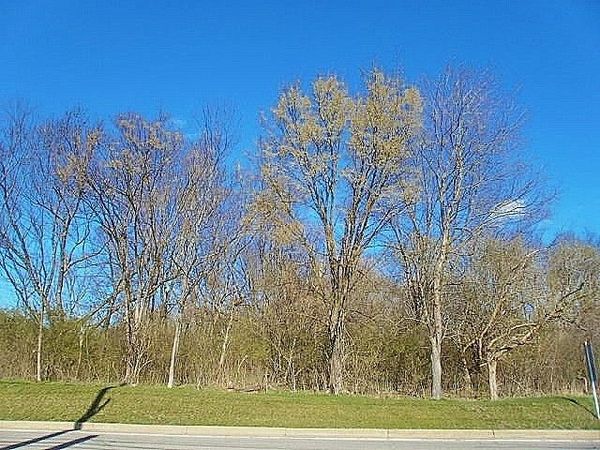 311 MCMURRAY RD , Pittsburgh, PA 15241