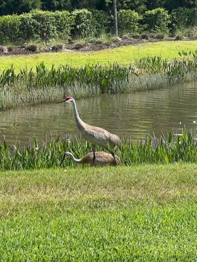 5906 164th Avenue E, Parrish, FL 34219 Photo