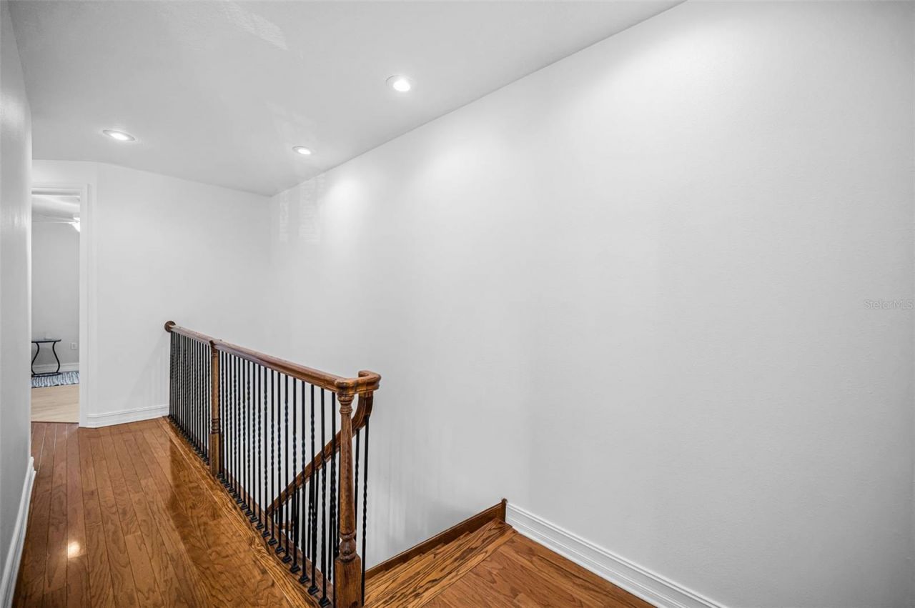 1411 Tessano Place , Palm Harbor, FL 34683 Photo