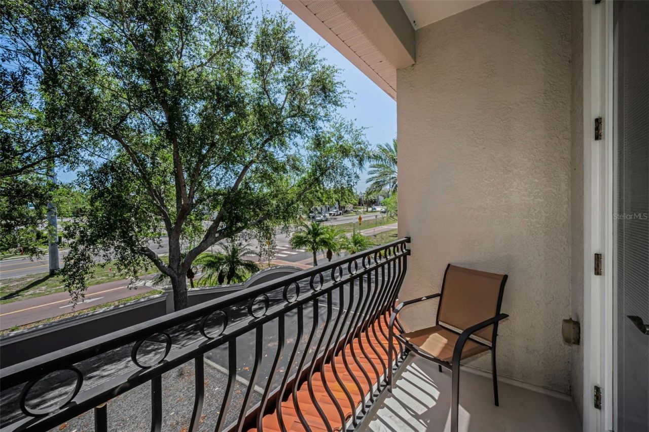 1411 Tessano Place , Palm Harbor, FL 34683 Photo