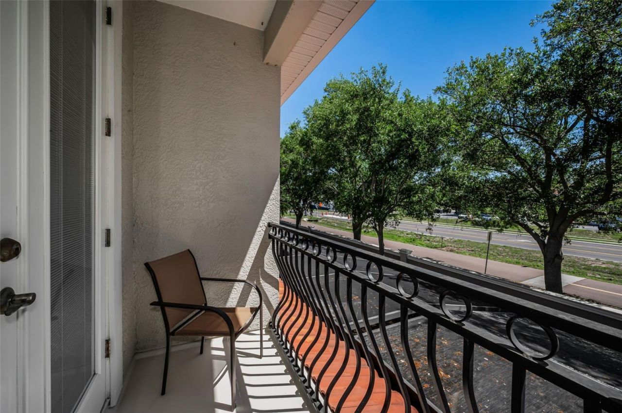 1411 Tessano Place , Palm Harbor, FL 34683 Photo