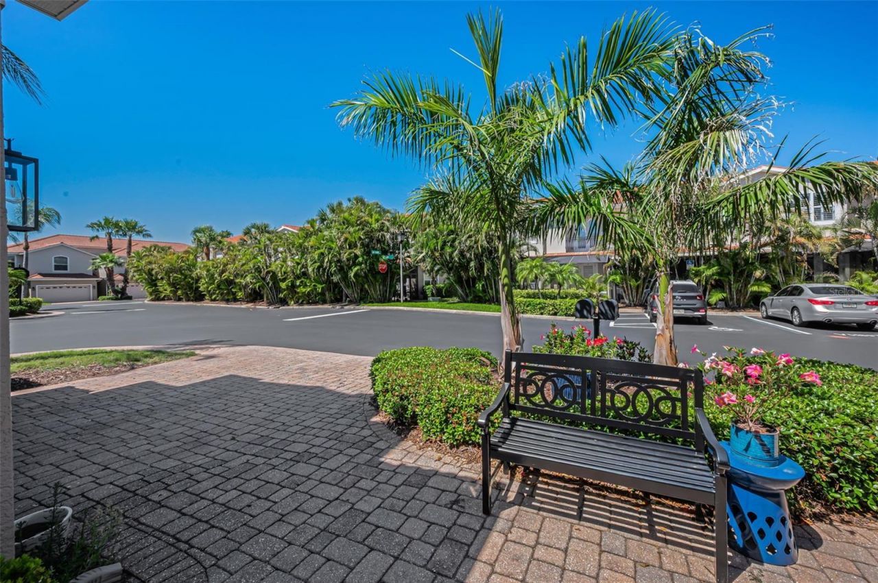 1411 Tessano Place , Palm Harbor, FL 34683 Photo