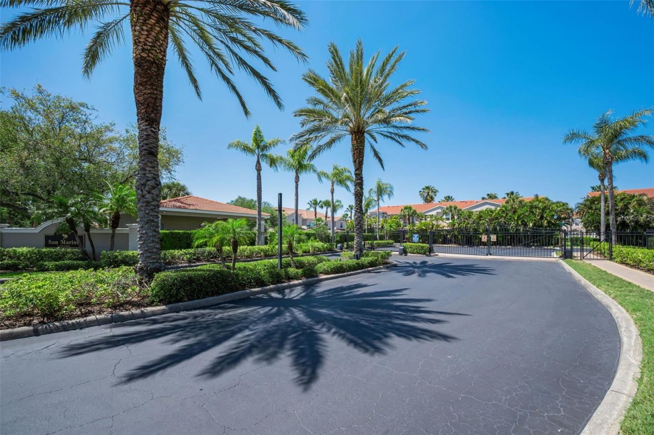 1411 Tessano Place , Palm Harbor, FL 34683 Photo