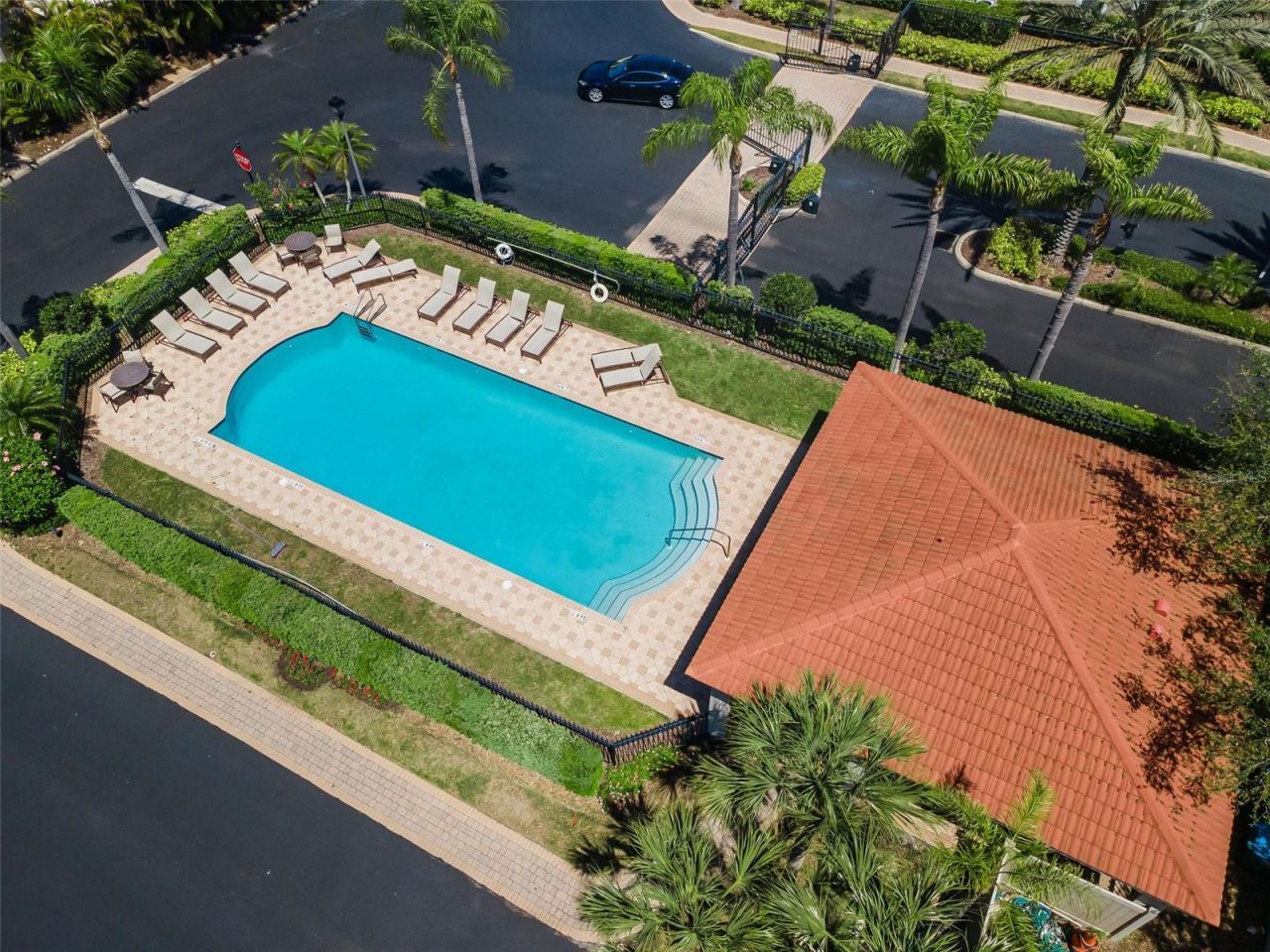 1411 Tessano Place , Palm Harbor, FL 34683 Photo