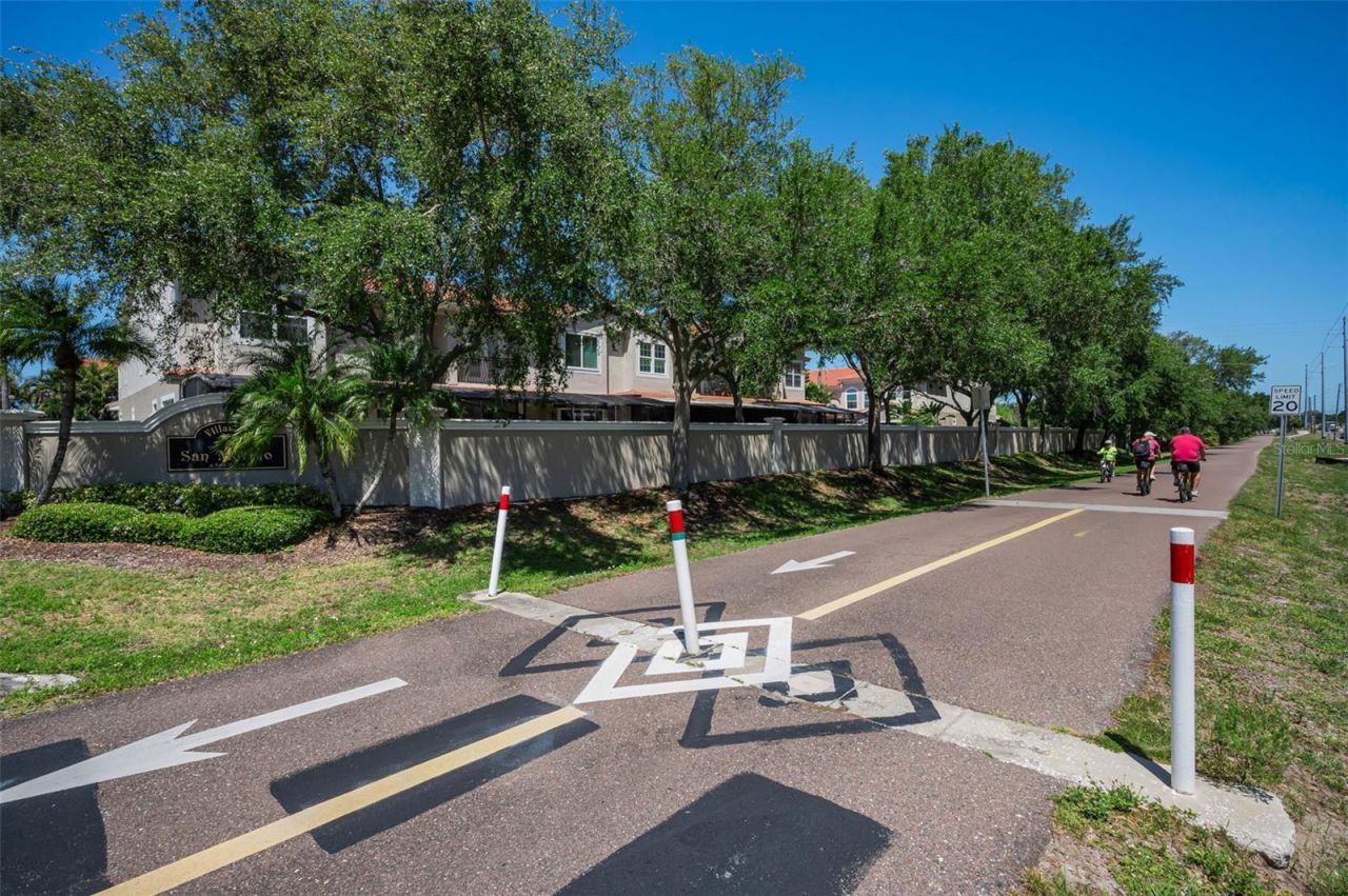 1411 Tessano Place , Palm Harbor, FL 34683 Photo