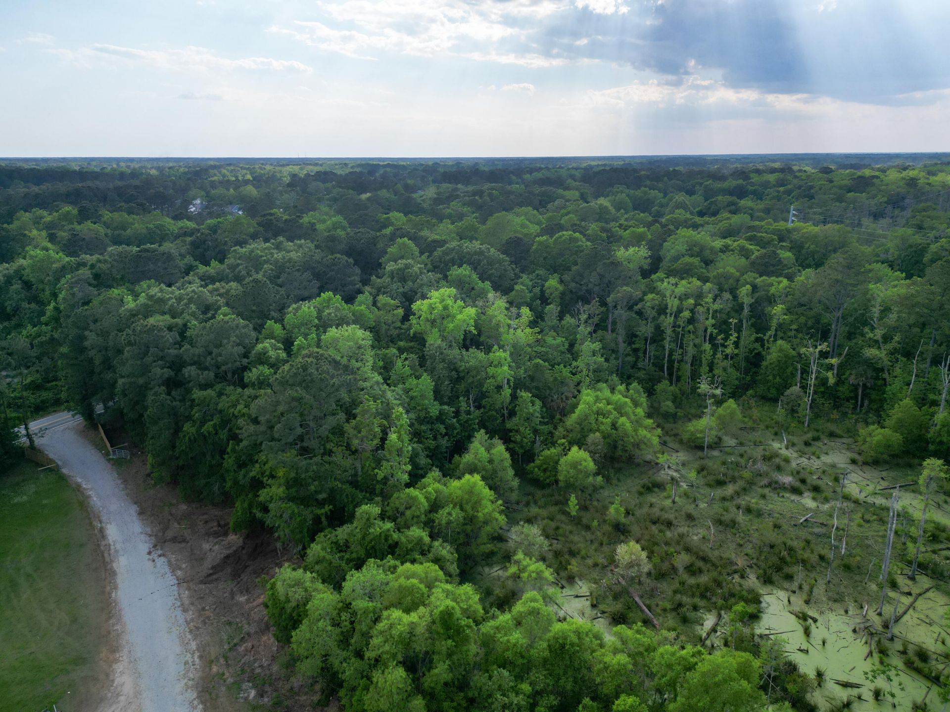 000 Murraywood Road Photo 10