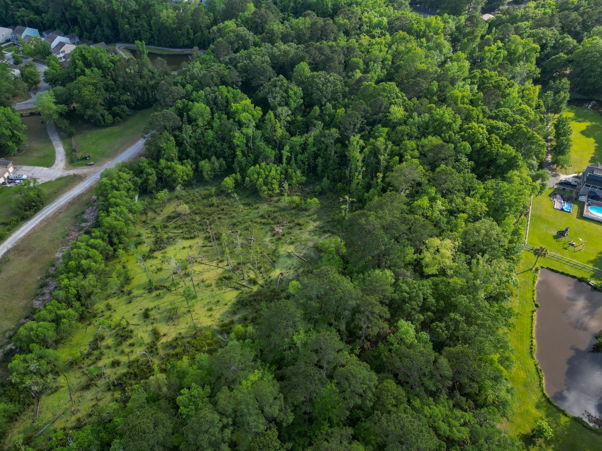 000 Murraywood Road Photo 11