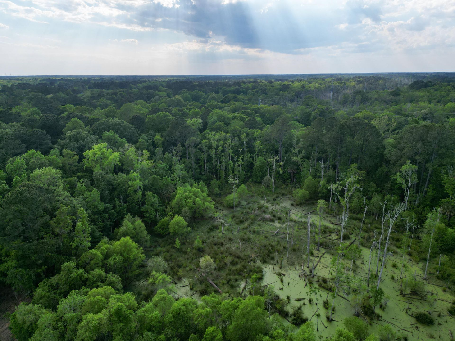 000 Murraywood Road Photo 16